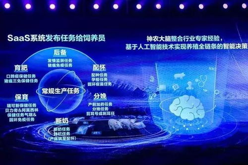 當互聯網巨頭“跨界”養豬 科技賦能下的產業變革與深層邏輯